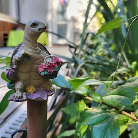 Vakantiehuis Oasis Home-garden Gem In The Heart Of
